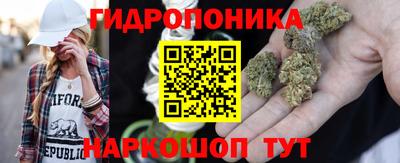 марки nbome Новозыбков