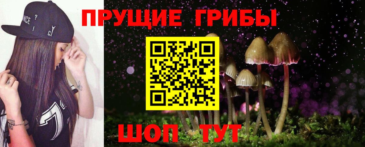 Галлюциногенные грибы мицелий Щёлково