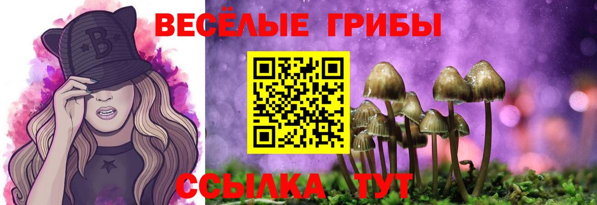 Щёлково  Псилоцибиновые грибы ЛСД  Вход с VPN 